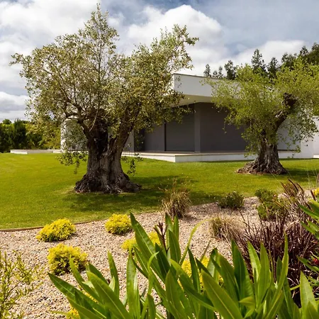 Villa Barbonica *